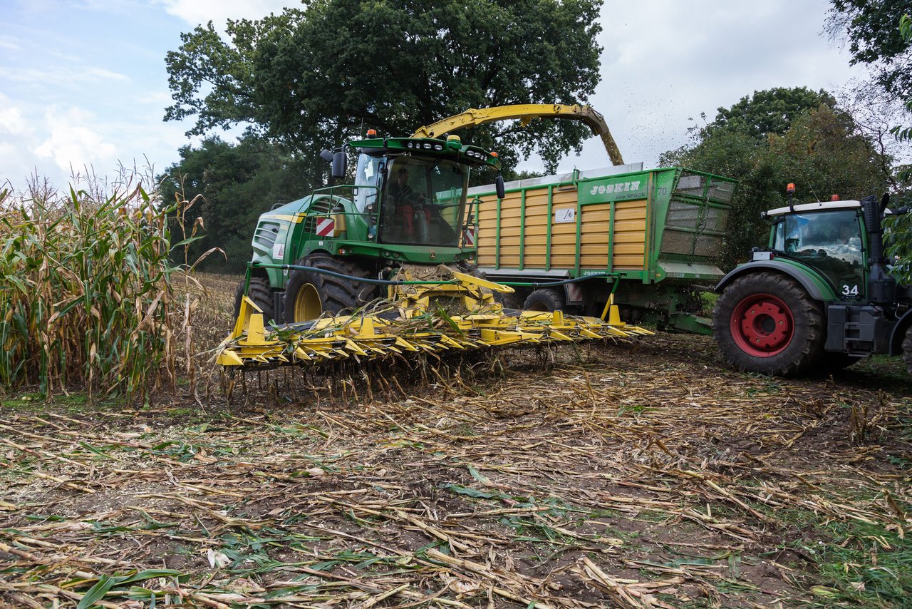 Bild 208 - Maisernte